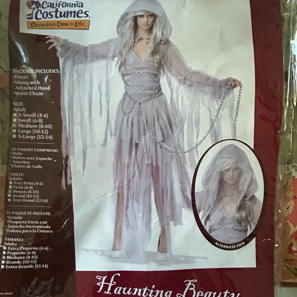 California Costumes Haunting Beauty Kids Costume - Silver